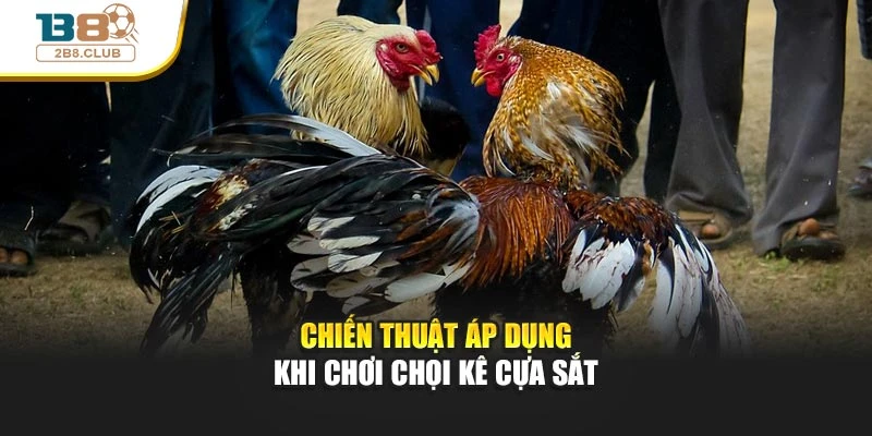 Chiến thuật áp dụng khi chơi chọi kê cựa sắt