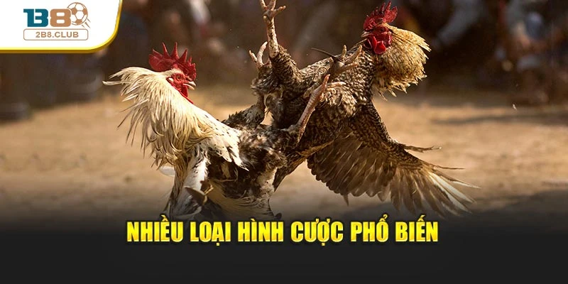 Nhiều loại hình cược phổ biến