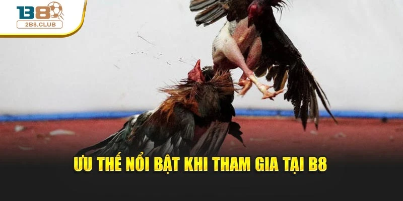 Ưu thế nổi bật khi tham gia tại B8